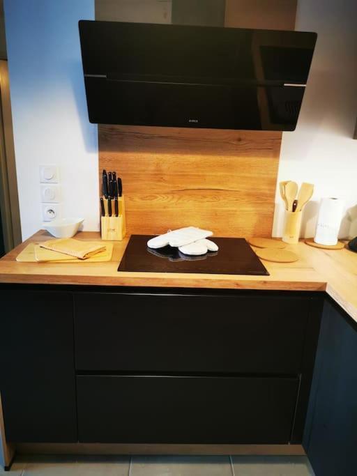 Apartment Le Ripaille T3 Thonon-les-Bains